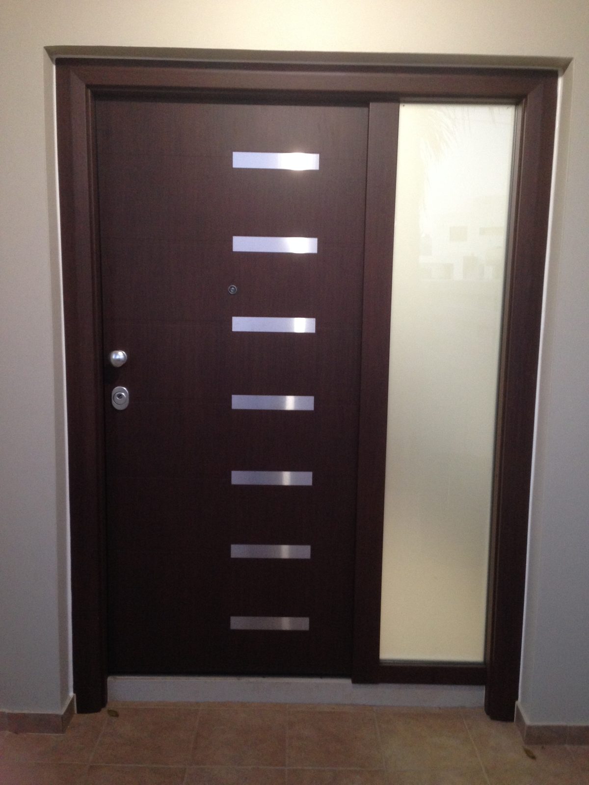 Dark door with glazed panels