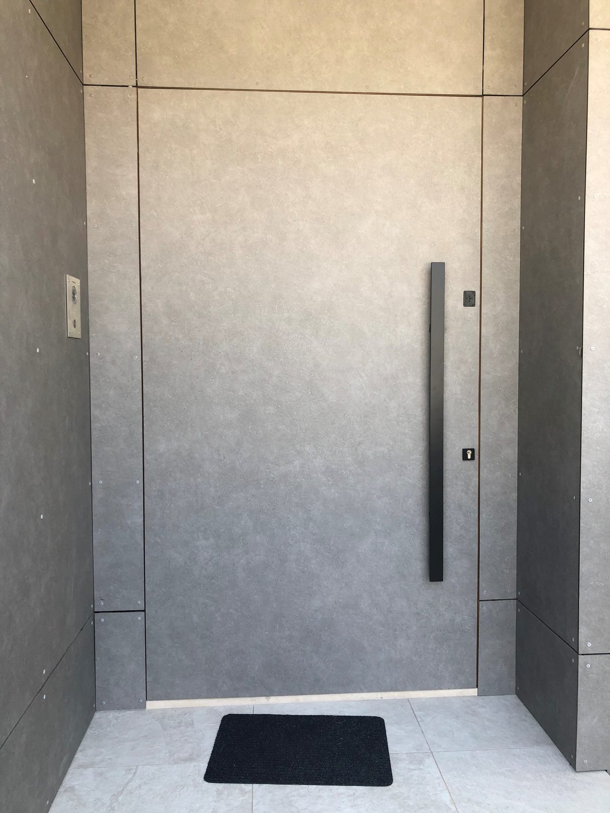 Grey pivot entrance door